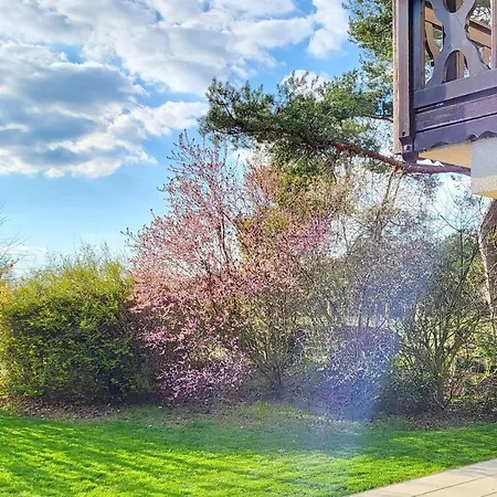 Kiefernwaeldchen Feriehus Byhlen