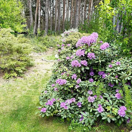 Feriehus Kiefernwaeldchen