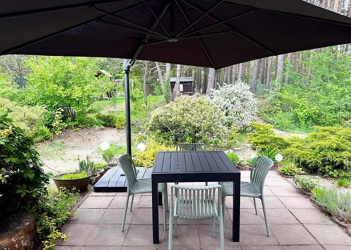 Kiefernwaeldchen * Byhlen