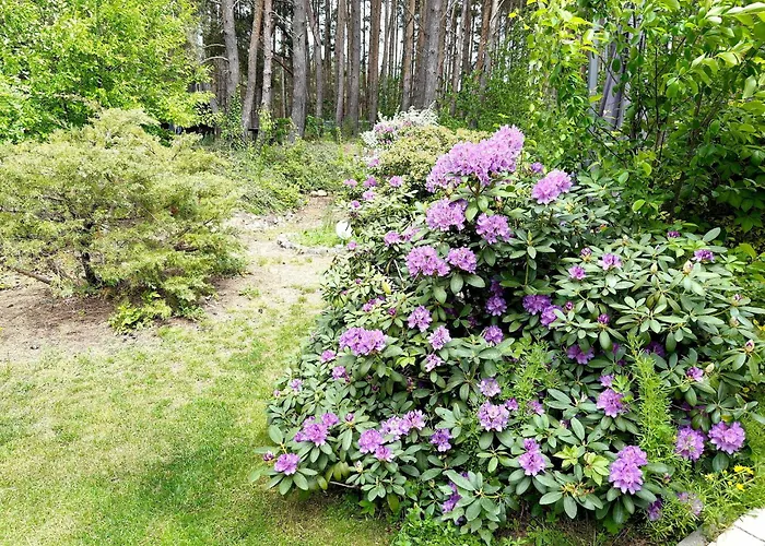 度假居 Kiefernwaeldchen